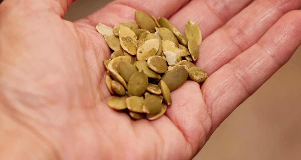 Pumpkin Seeds: Understanding the Potential Risks Before Consumption